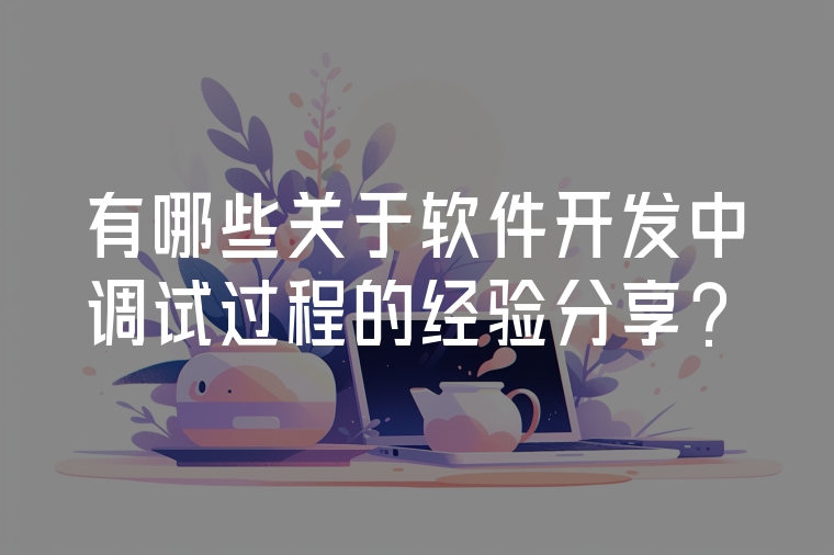 有哪些關于軟件開發(fā)中調試過程的經驗分享？