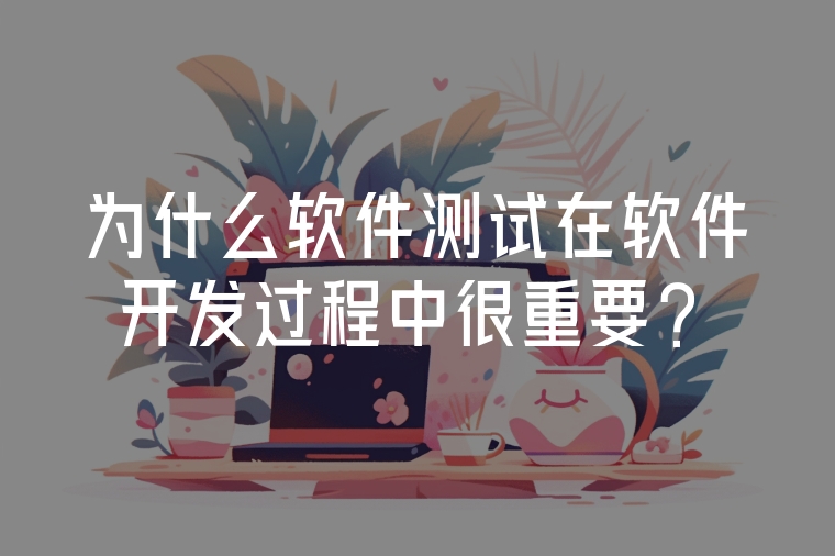 為什么軟件測(cè)試在軟件開(kāi)發(fā)過(guò)程中很重要？