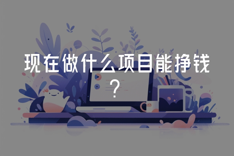 現(xiàn)在做什么項目能掙錢？