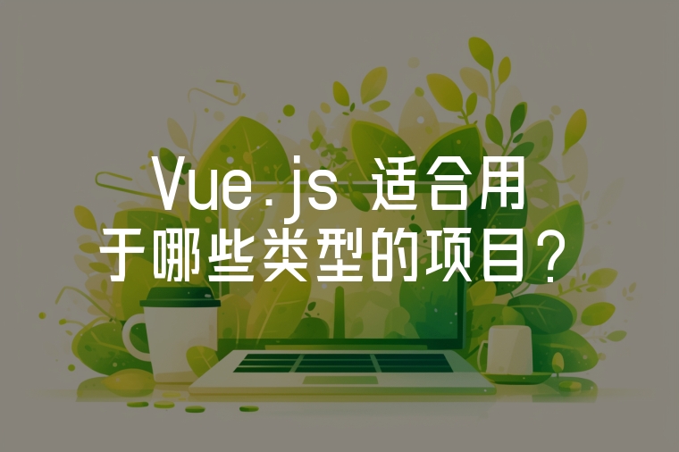 Vue.js 適合用于哪些類型的項目？