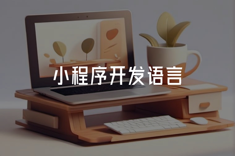 小程序開發(fā)語言全解析