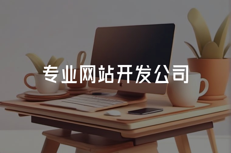火貓網(wǎng)絡(luò)：專業(yè)網(wǎng)站開發(fā)服務(wù)商