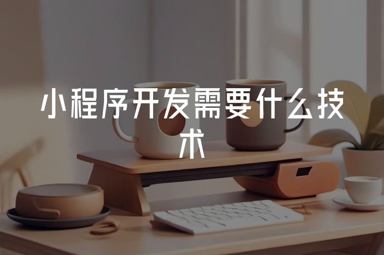 小程序開發(fā)：技術(shù)與低代碼方案